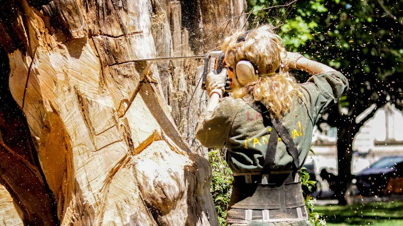 Best Tree Branch Trimming  in Sugarmill Woods, FL